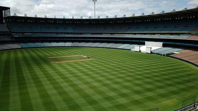 速成长并向 速成长并向