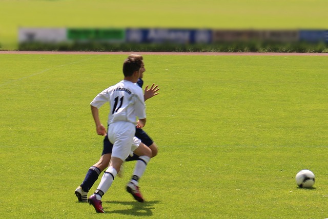 显示出明显 显示出明显