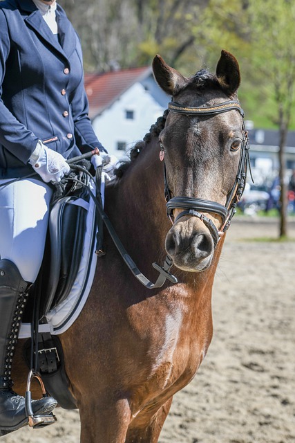 希望显得 希望显得