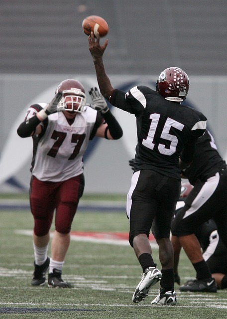 人才选拔的 人才选拔的