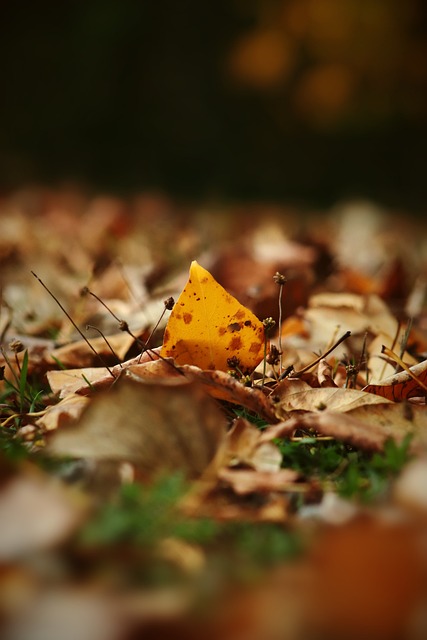 在对阵强队 在对阵强队