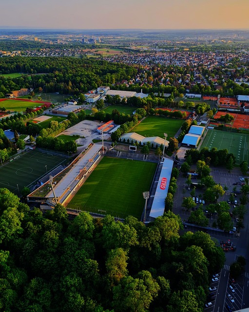 渡的巧妙機 渡的巧妙機